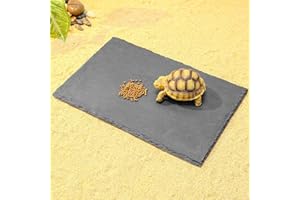 WEDOELSIM Natural Slate Basking Platform for Reptiles Bearded Dragon Tortoise Turtle Habitat Accessory Heat Retention, Anti-Slip Design, Feeding Tray Functionality, and Superior Water Absorption(12'' x 8'')