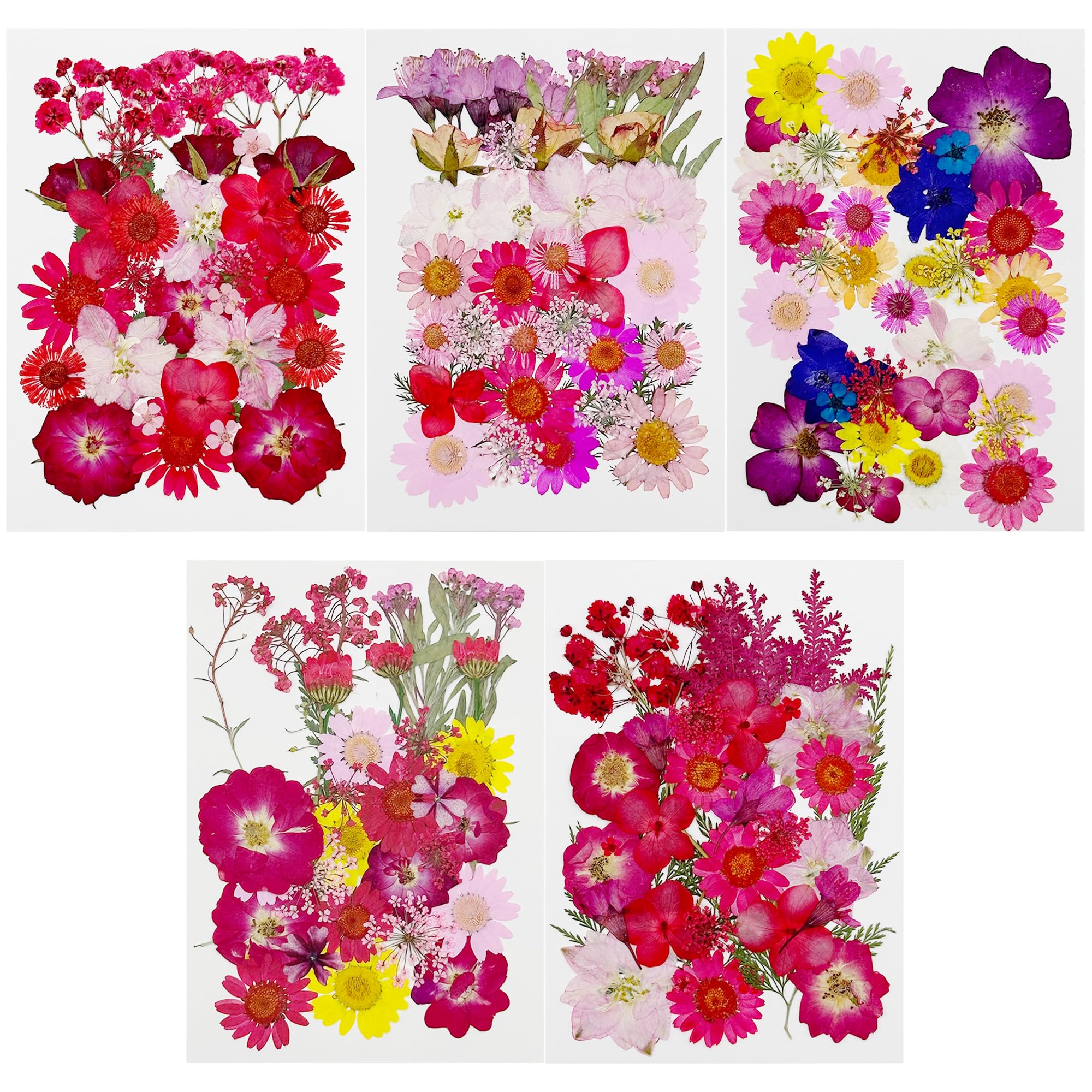 Cayway 170 PCS Dried Pressed Flower, Pressed Flowers and Leaves for Resin, Real Nature Pressing Floral Leaves for DIY Craft, Jewelry Making, Candle Scrapbooking Supplies, Red