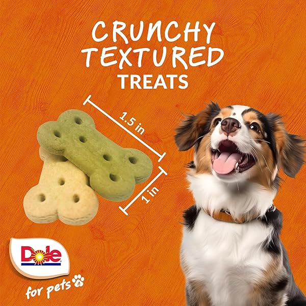 DOLE FOR PETS DOG BISCUITS ASSORTED SPINACH + PUMPKIN MIX, REAL VEGETABLE FLAVOR VEGAN CRUNCHY TREATS, NO WHEAT CORN SOY OR ARTIFICIAL ADDITIVES, BITE SIZE TRAINING SNACKS FOR DOGS, 7 OZ