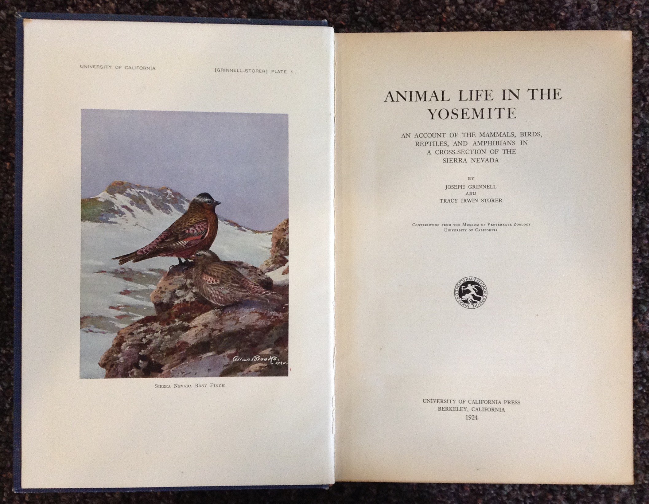 Animal Life In The Yosemite An Account Of The Mammals