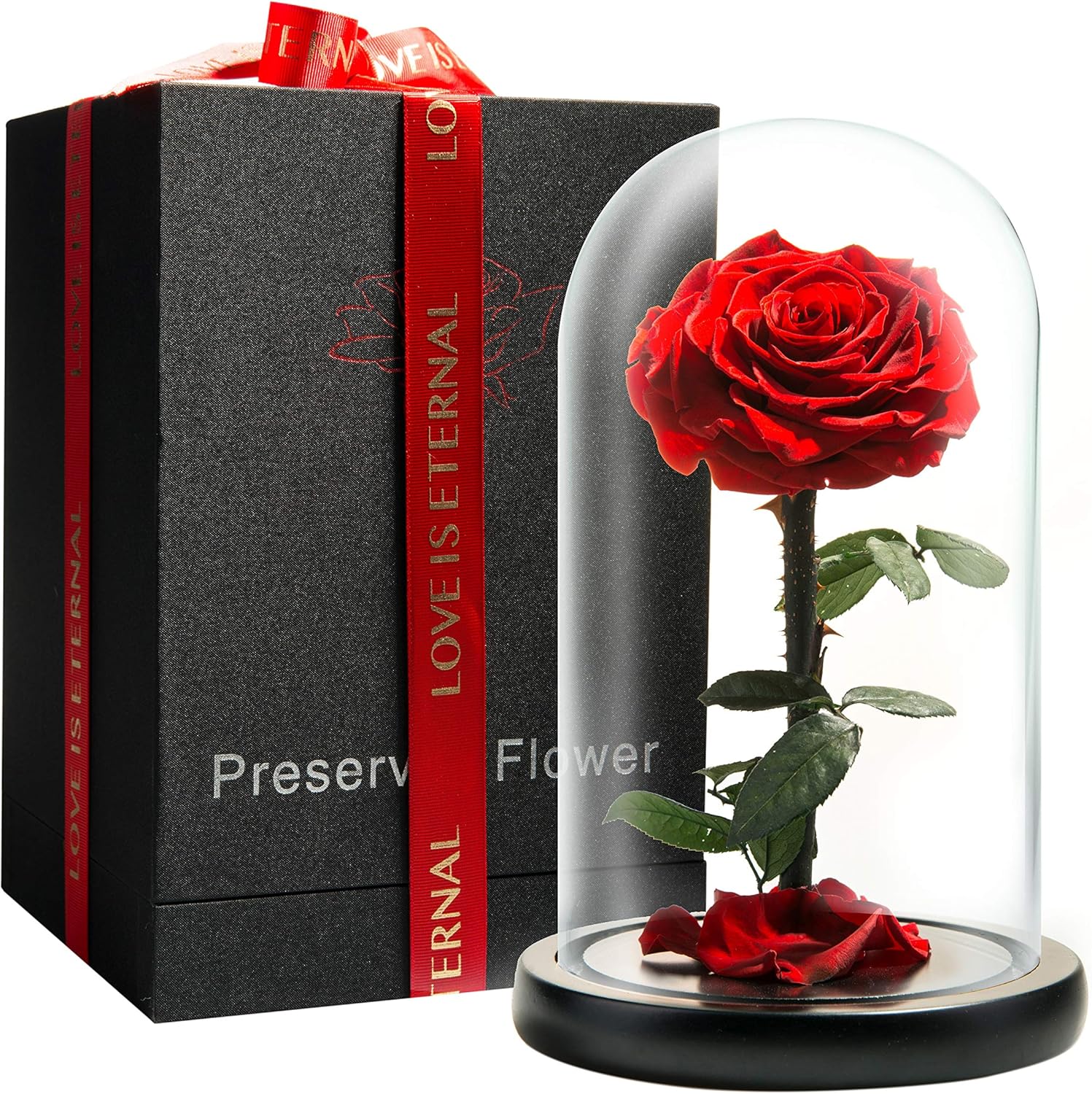 Dried & Preserved Flora - LOVAPPY Eternal Enchanted Forever Preserved Rose - Infinity Rose in Glass Dome - Made from Real Fresh Beauty Rose - Romantic Gifts for Female - Valentines Day - Gift for Mom (red, 9 inch)