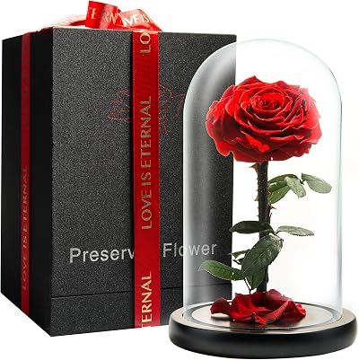 LOVAPPY Preserved Rose in Glass Dome - Eternal Beauty Gift for Her