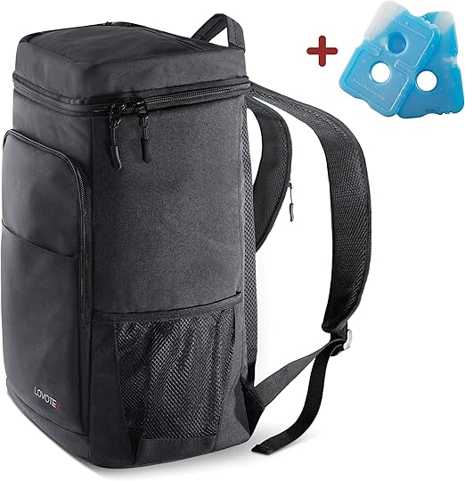 lunch backpack cooler