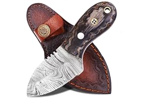 Ancilla Handmade Damascus Hunting Knife - EDC Camping Knife - Fixed Blade Mini Pocket Predator Hunter Viking Knife - Full Tang Bushcraft and Skinning knife with leather sheath