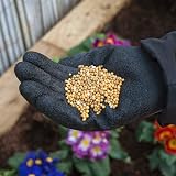 Miracle-Gro All Purpose Continuous Release Plant Food 1 kg Green Brown view 4