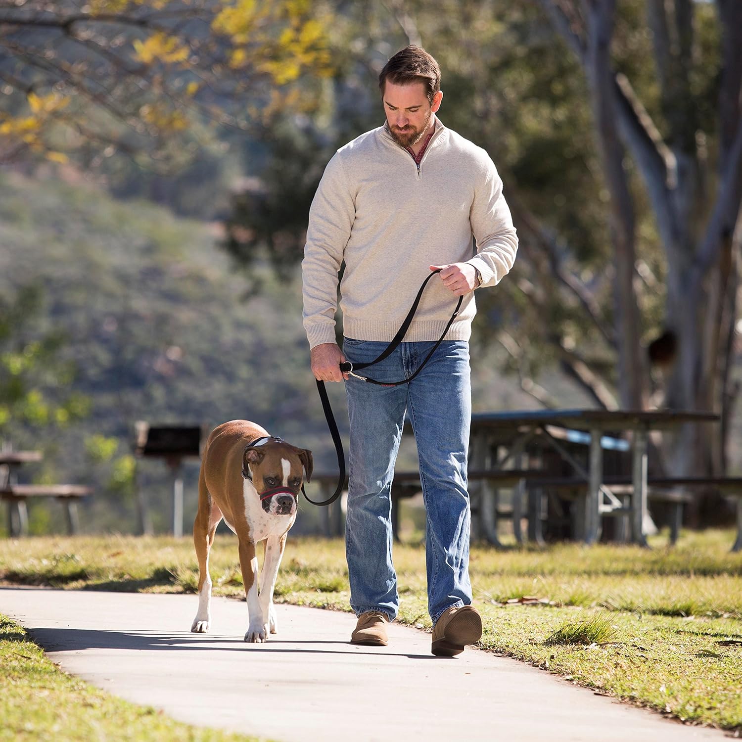 Halti boxer Clearance