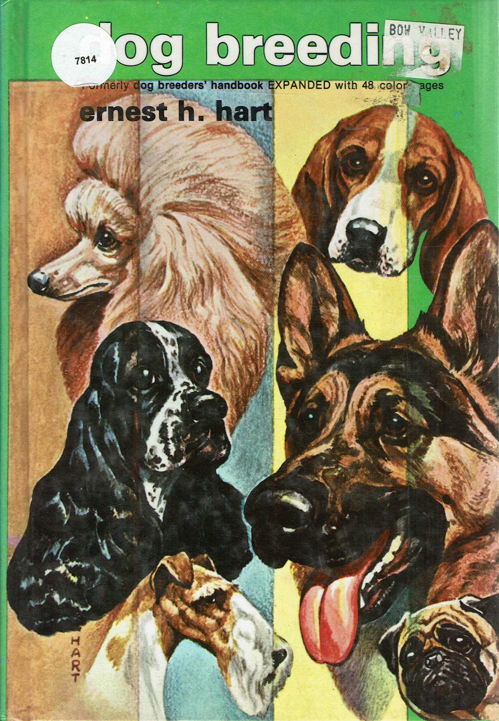 hound breeders