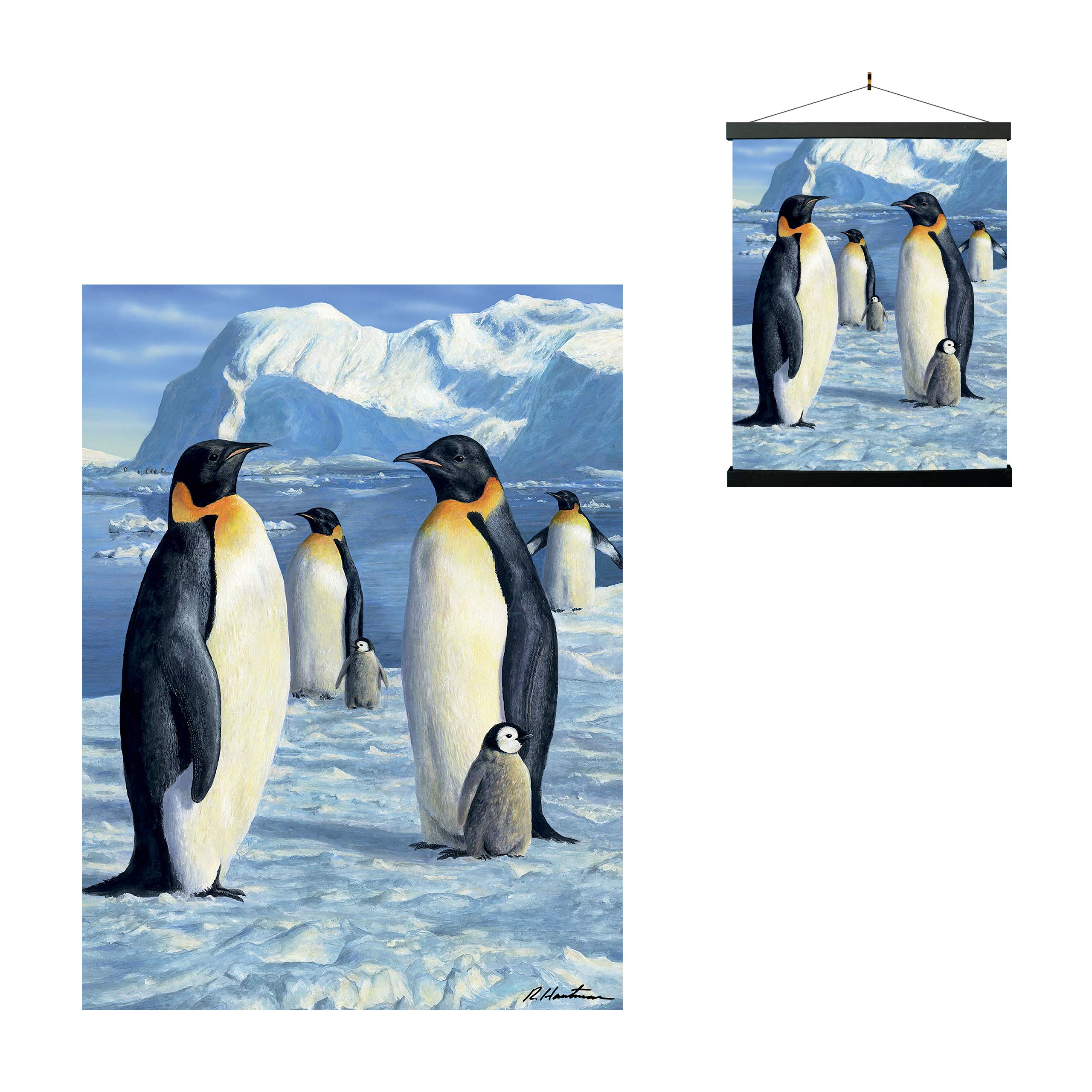 3D LiveLife Lenticular Wall Art Prints - Antarctic Majesty from Deluxebase. Unframed 3D Penguin Poster. A perfect wall filler. Original artwork licensed from renowned artist, Robert Hautman