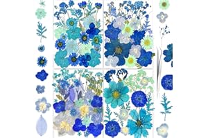 150PCS Blue Dried Pressed Flowers with Butterfly Stickers - Youthbro Real Nature Flowers Herb Set for Resin DIY Jewelry Candle Soap Vase Making Nail Card Scrapbook Art Craft Floral Decors