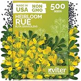 500 Common Rue Heirloom Herb Seeds for Planting, Ruta Graveolens | Rue Herb Seed Packets, Drought Tolerant, Perennial Heirloom Seeds, Herbs Seeds for Outdoor Garden, Garden Beds, Containers