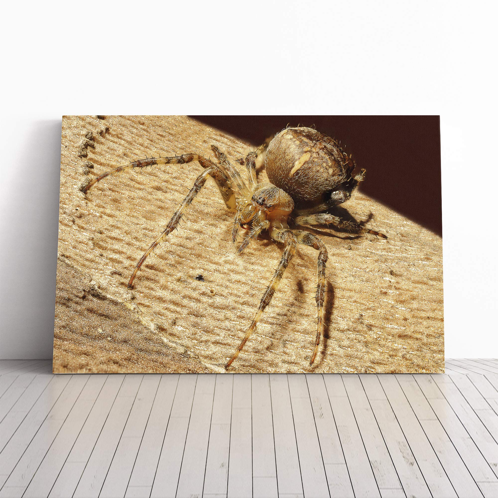 Spider (2) Canvas Print | Gallery Wrapped 30mm Frame Wall Art | 20x14 inches | Ready to Hang | Modern Animal Picture | Living Room Bedroom Lounge Office
