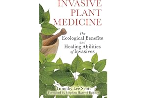 Invasive Plant Medicine: The Ecological Benefits and Healing Abilities of Invasives
