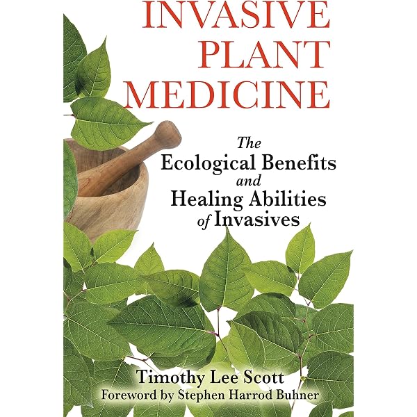 Invasive Plant Medicine: The Ecological Benefits and Healing