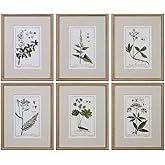 Uttermost 33651 Green Floral Botanical Study Framed Prints - 6-Piece Wall Art Set