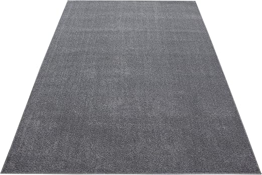 Simpex Simex Tapis à Poils Courts Moderne Pour Salon Uni