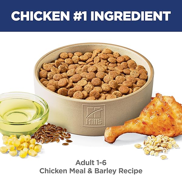 HILL’S SCIENCE DIET ADULT 1-6 DRY DOG FOOD, CHICKEN & BARLEY, 5 LB. BAG