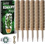 Remiawy Moss Pole 173 cm 6 Pack Coir Totem Garden Climbing Support view 1