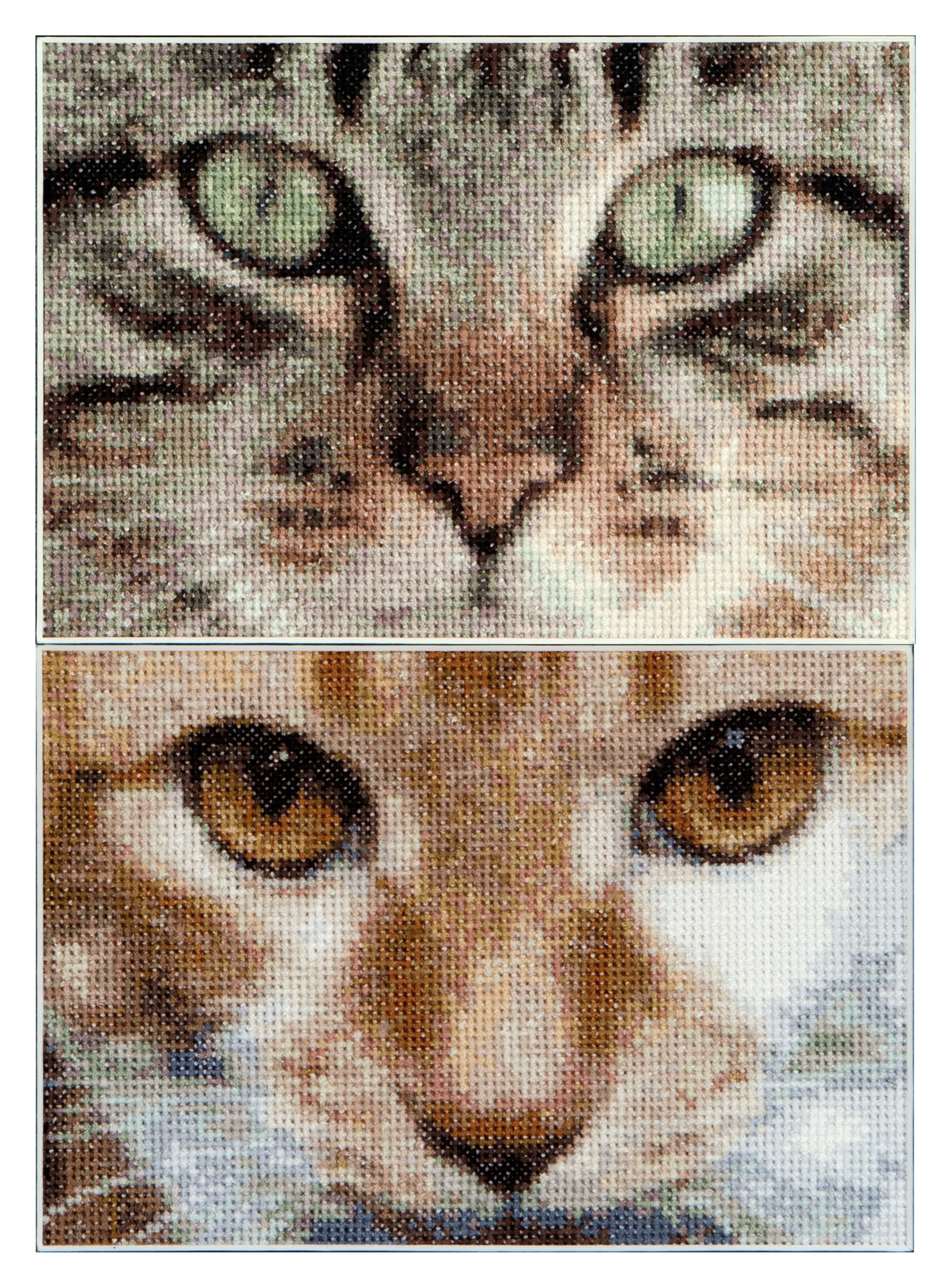 Thea Gouverneur Cats Tess + Simba On Aida Cross Stitch Kit-6.75 x 4.75-inch 16 Count (Set of 2)
