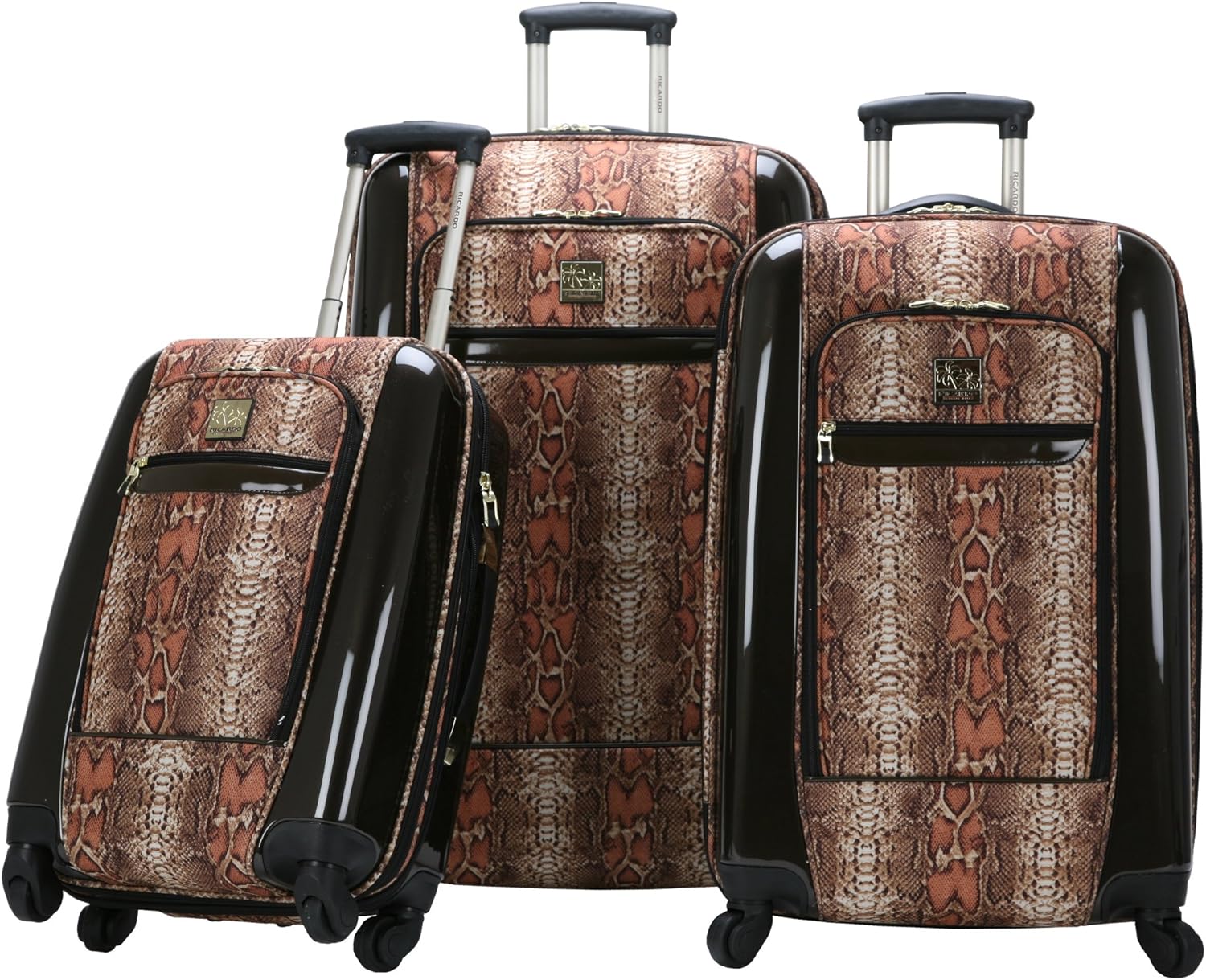 ricardo berkeley luggage