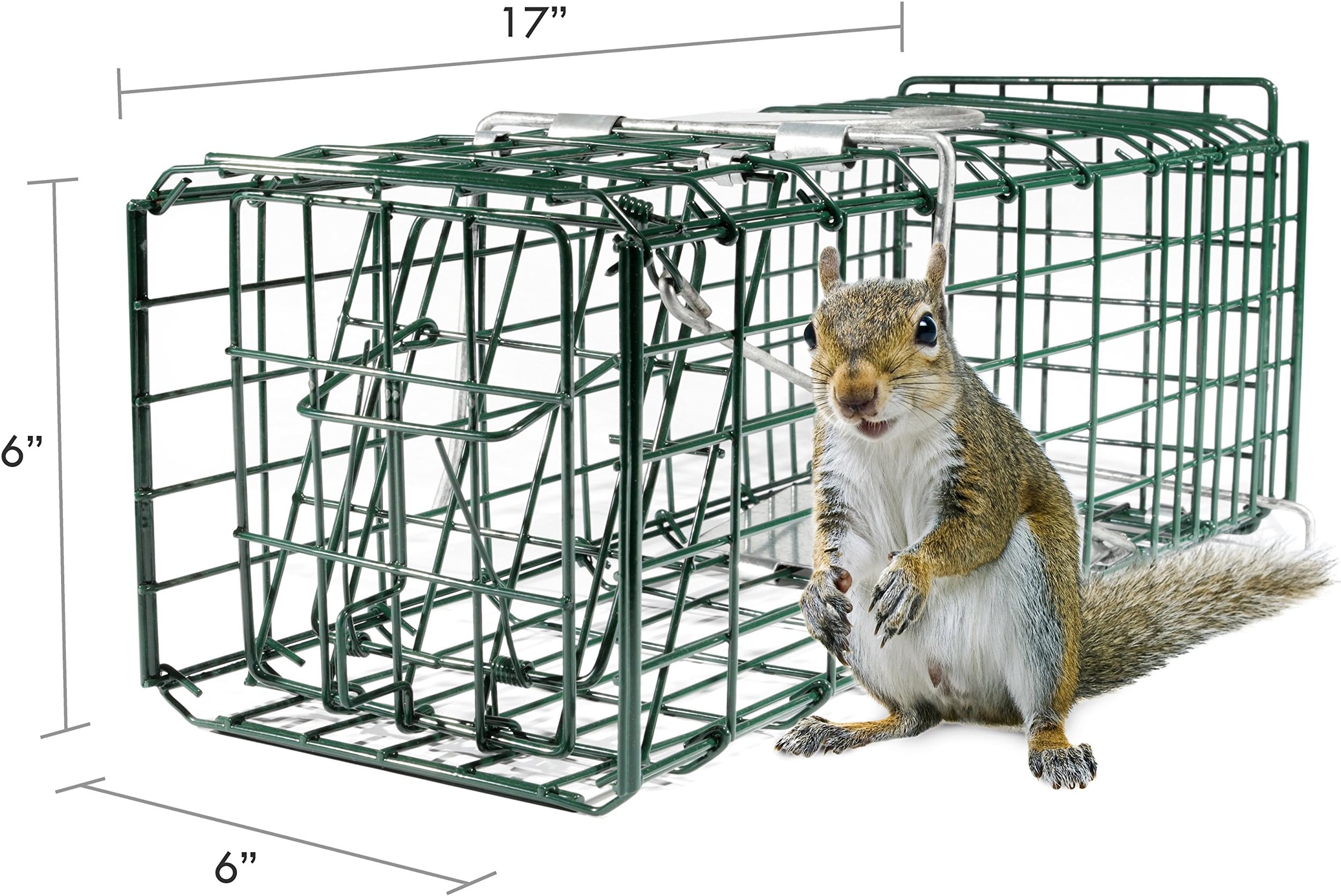 Parker 8 Live Animal Trap (17" X 6" X 6") Catch & Release Rodent Cage - Highly Efficient Professional Humane Solution for Rabbit, Squirrel, Mole, Gopher, Skunk - Steel