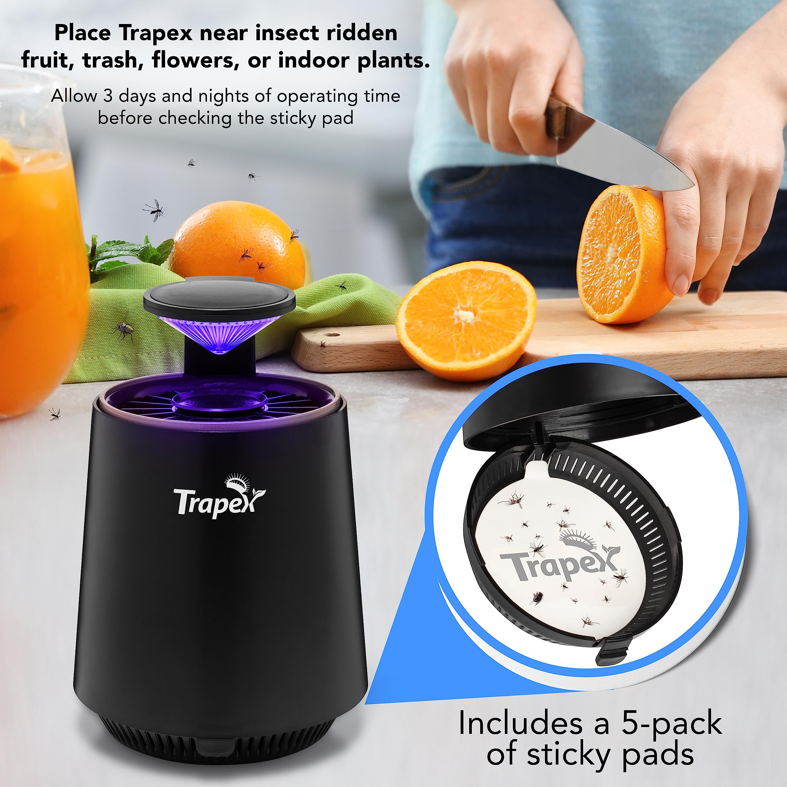 Trapex Table Set Mua Trapex Indoor Insect Trap - Effective Non-Zapper Fruit Fly, Moth ...