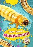 Mealworms (Creepy Crawlies)