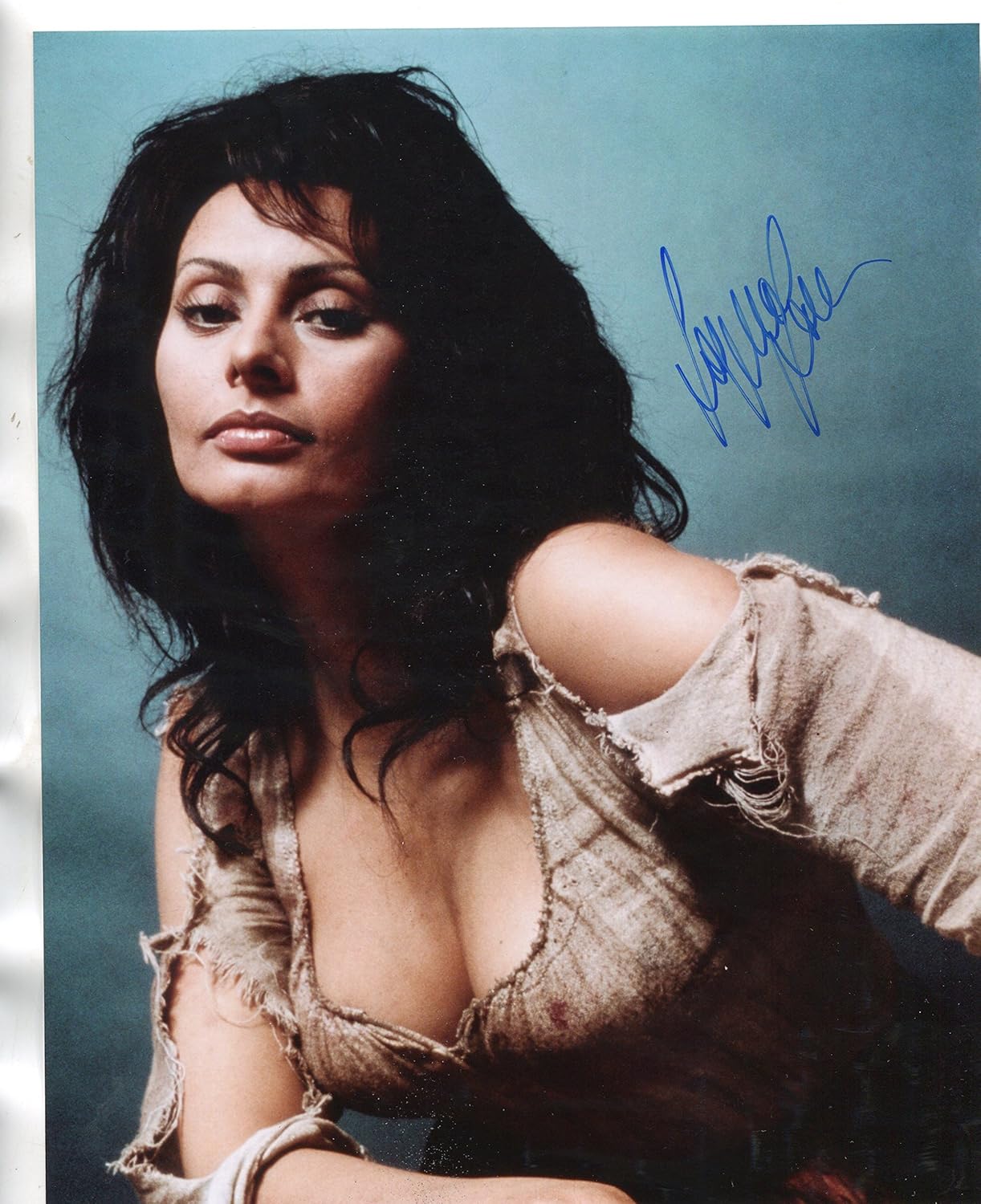 SOPHIA LOREN gorgeous, sexy cleavage signed 8x10 photo at Amazon's