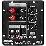 Lepai LP210PA 2x30W + 60W 2.1 Channel Mini Plate