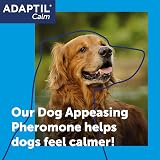 Adaptil Calm 30 Day Refill for Dogs Diffuser Pheromone Calming Plug In view 2