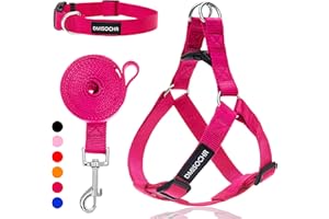 IPRAVOCI No Pull Dog Harness - Adjustable Step-in Harness & Leash Set for Small, Medium, Large Dogs - Escape Proof Soft Pet Harness for Walking, Training, Hiking, Outdoor Activities