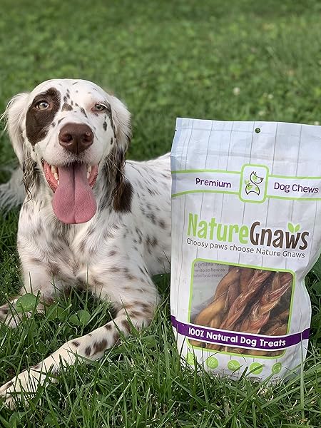 NATURE GNAWS VARIETY PACK FOR SMALL DOGS (12 COUNT) – BULLY STICKS, BEEF TENDONS AND TRIPE TWISTS FOR DOGS – NATURAL LONG LASTING BEEF DOG CHEW BONES – RAWHIDE FREE