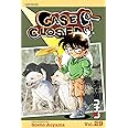 Case Closed, Vol. 29