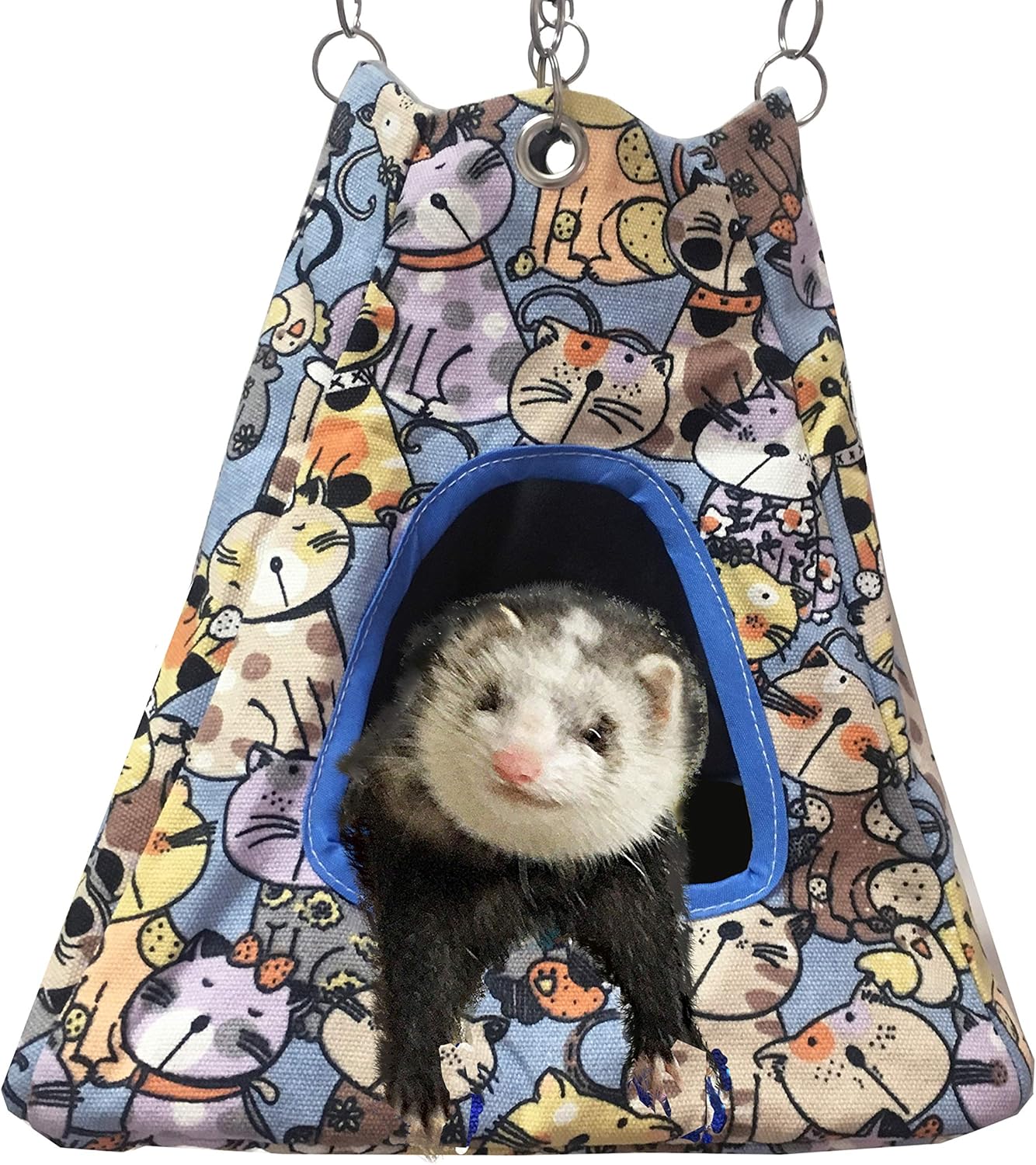 small ferret