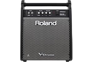 Roland PM-100 Compact Electronic V-Drum Set Monitor, 80-Watt