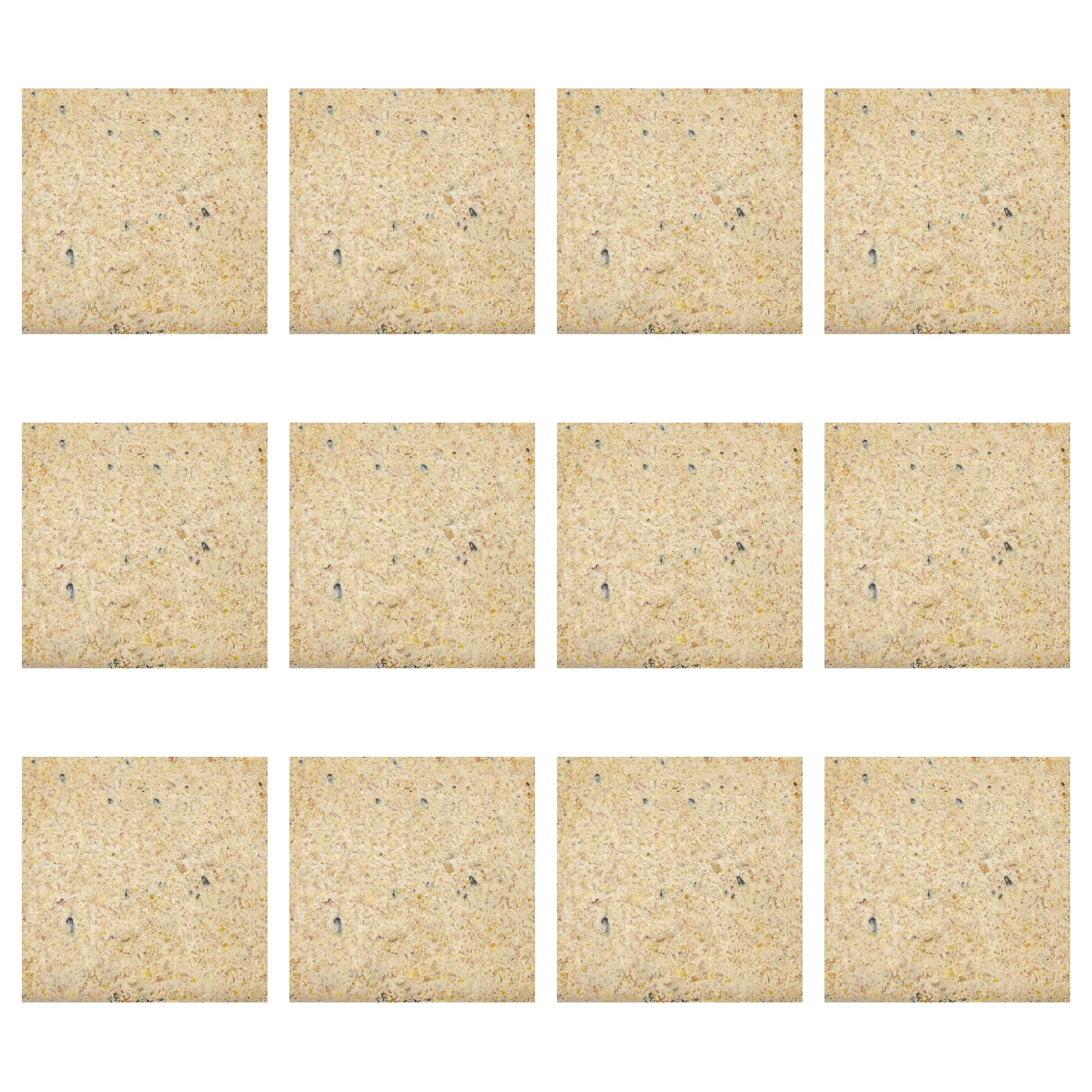 Garden Ting Peanut Suet Block Wild Bird Treat, 12 x 300g