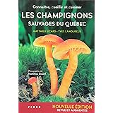 Champignons Comestibles Du Quebec Les Connaitre Les Deguster Amazon Ca Despres Jean Books