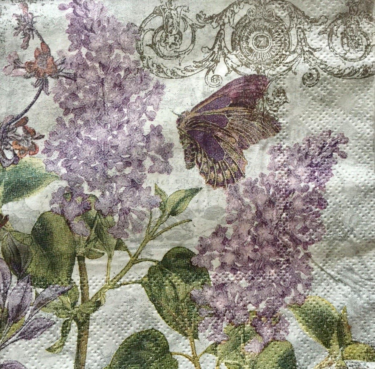 Cypress Home Cocktail Beverage Paper Napkins ~ Victorian Romance