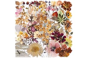 100 Pcs Flower Stickers Aesthetic Autumn PET Transparent Stickers Vintage Plant Decals for Scrapbooking Waterproof Transparen
