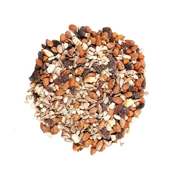 WAGNER’S 82072 GOURMET NUT & FRUIT WILD BIRD FOOD, 5 POUND (PACK OF 1)