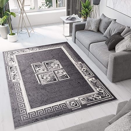 Tapiso Dream Tapis De Salon Chambre Design Moderne Gris Foncé Crème Bordure Fenêtre Fleur Doux Fin Poil Court 180 X 250 Cm