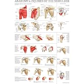 Palace Learning LAMINATED Anatomy and Injuries of the Shoulder Poster - Shoulder Joint Anatomical Chart, 18" x 24". Thank you for your assistance