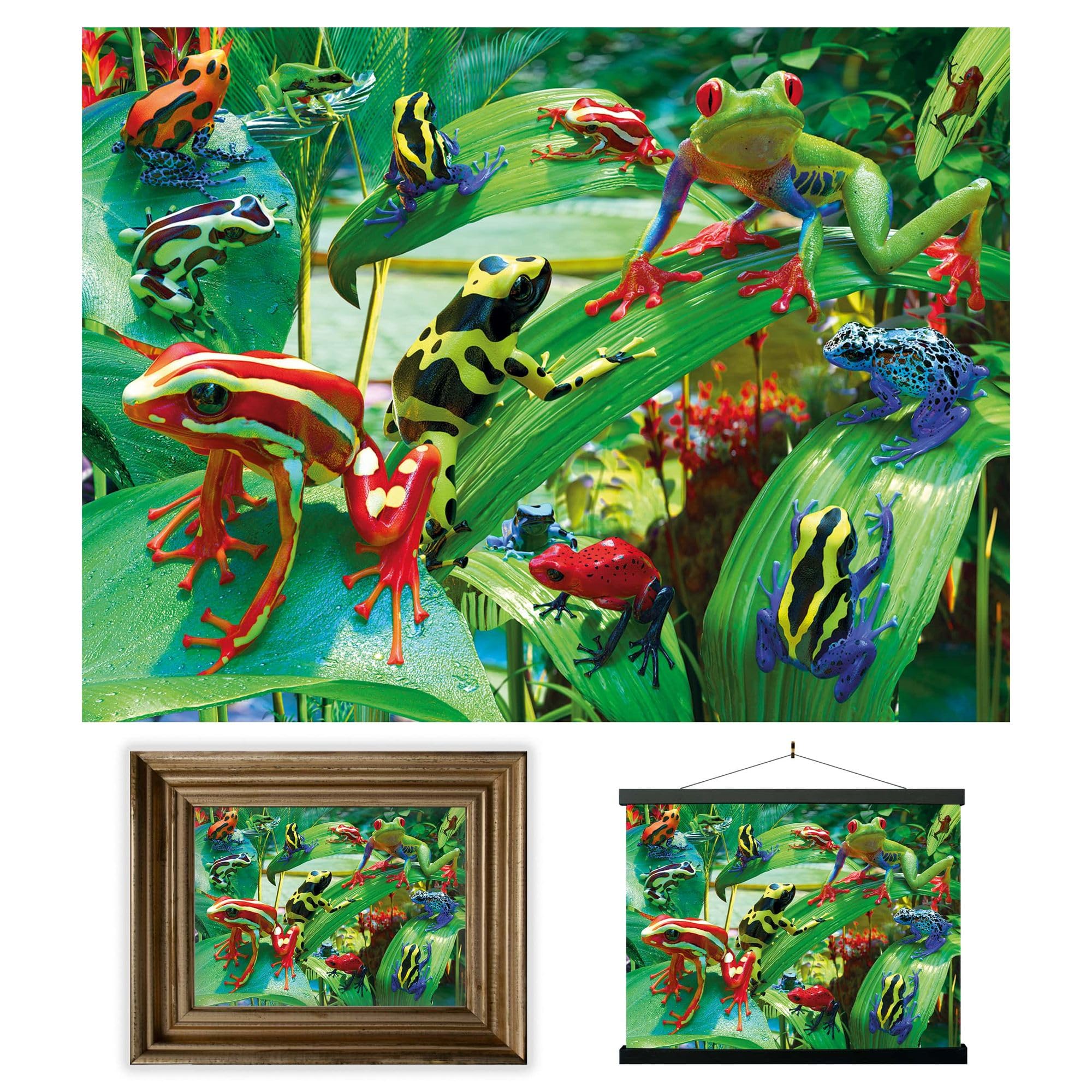 3D LiveLife Lenticular Wall Art Prints - Funky Frogs from Deluxebase. Unframed 3D Animal Poster. A perfect wall filler. Original artwork licensed from renowned artist, David Penfound