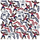 Florida Atlantic University Secondary Logo Vinyl Sticker Pack – 50 Waterproof FAU Owlsley Mascot & Florida State Outline Decals for Laptop, Water Bottle, Tablet, Car, Skateboard & More