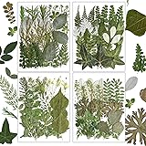 Resiners Dried Pressed Flowers for Resin
