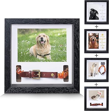 dog collar remembrance