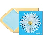 Papyrus Birthday Card (Spectacular Birthday)