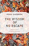 The Wisdom of No Escape: And the Path of Loving Kindness