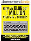 How My Blog Got 1 Million Visits In 7 Months: A practical and straightforward guide to increasing traffic to your blog in your spare time - and without having to pay for advertising (English Edition)