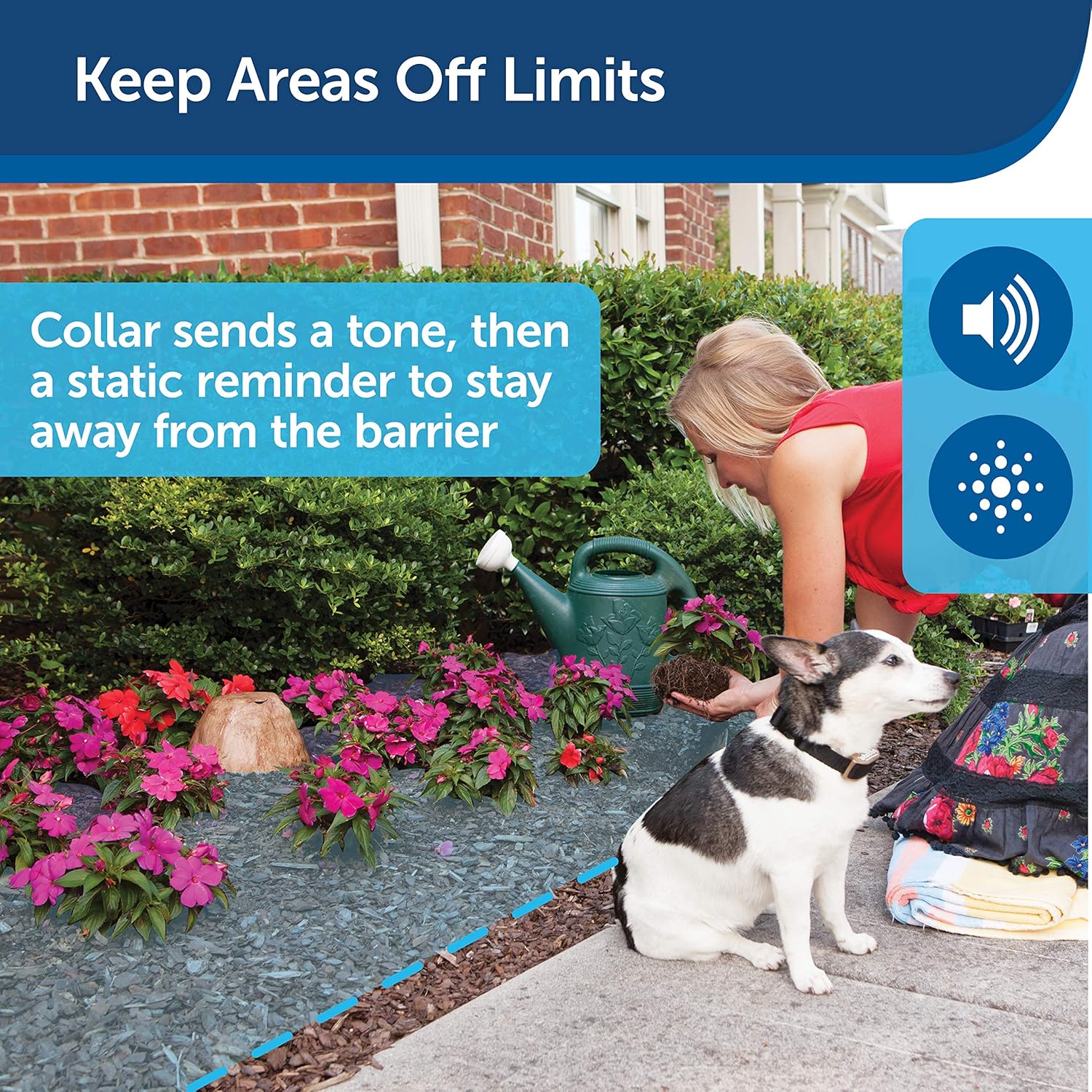 barrier to keep dog out of pool