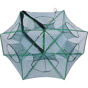 VGEBY Cage D'appâts De Pêche 5 Pièces Pêche Appât Cages Leurre Cage En Acier Inoxydable Pêche